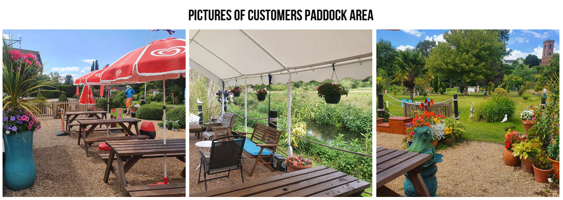 customers paddock area