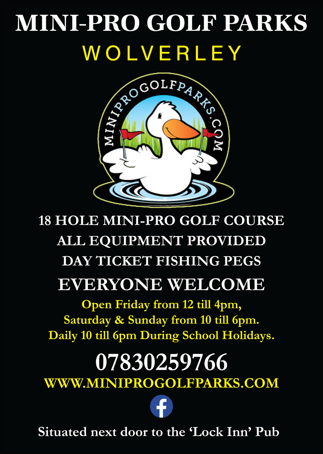 mini pro golf parks